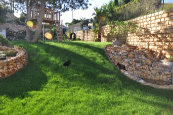 Garden/Terraces